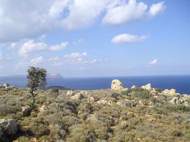 Μεγάλη έκταση με φανταστική θέα στην θάλασσα