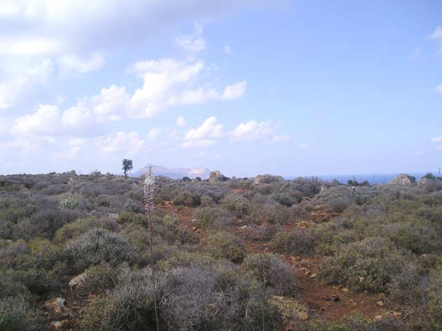 Μεγάλη έκταση με φανταστική θέα στην θάλασσα