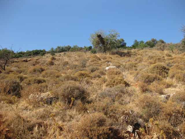 Οικόπεδο με θέα στο Κρητικό πέλαγος