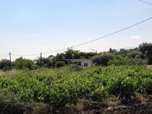 Οικόπεδο με θέα στα Λευκά Όρη