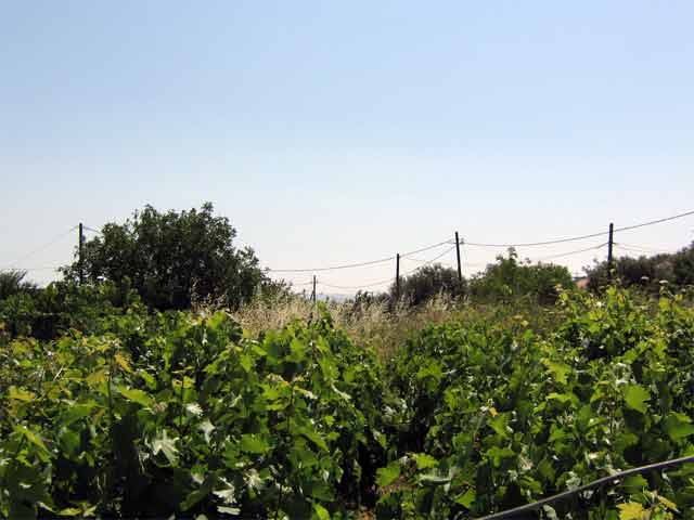 Οικόπεδο με θέα στα Λευκά Όρη