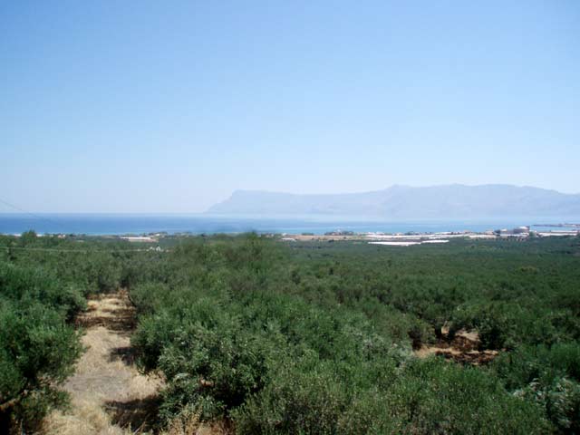 Θέα στην θάλασσα σε καταπράσινη περιοχή    