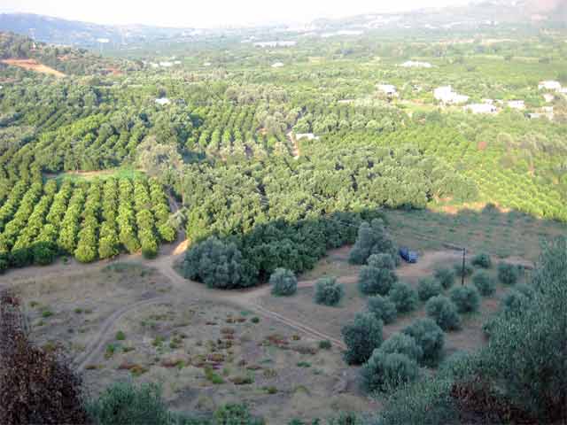Θέα στα Λευκά Όρη