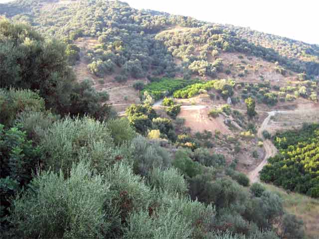 Θέα στα Λευκά Όρη