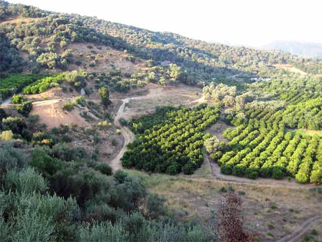 Θέα στα Λευκά Όρη
