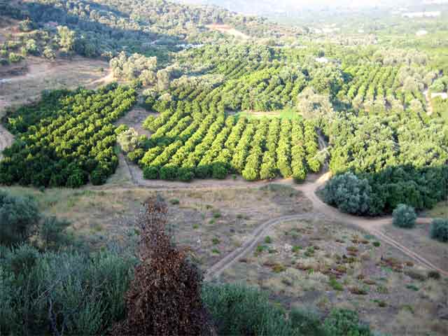 Θέα στα Λευκά Όρη