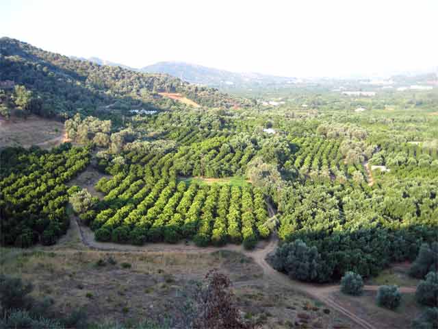 Θέα στα Λευκά Όρη