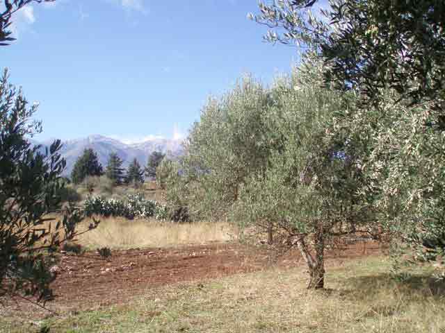 Οικόπεδο με πολύ ωραία θέα στα Λευκά Όρη