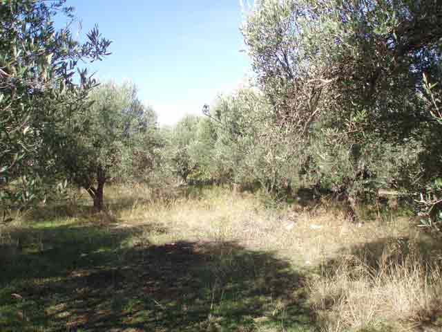 Οικόπεδο με πολύ ωραία θέα στα Λευκά Όρη