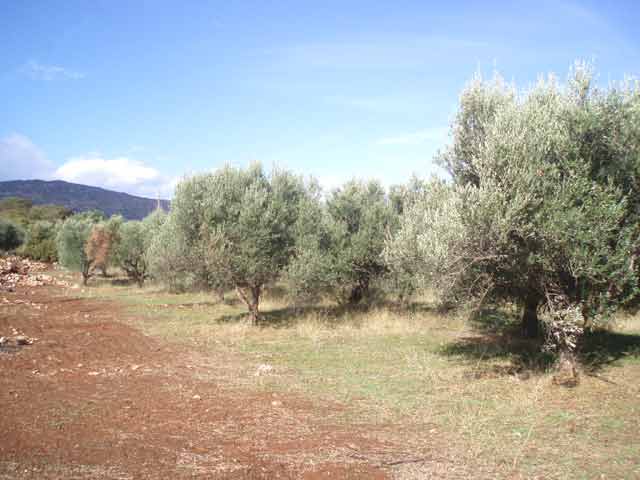 Οικόπεδο με πολύ ωραία θέα στα Λευκά Όρη
