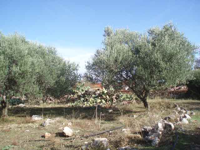 Οικόπεδο με πολύ ωραία θέα στα Λευκά Όρη