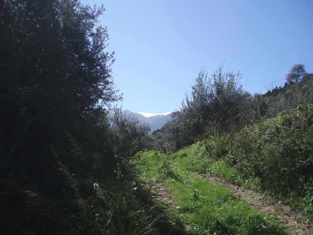 Views to the magnificent White Mountains