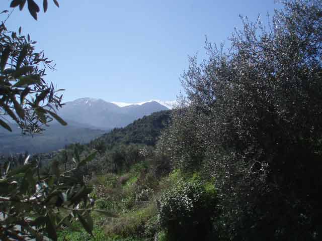 Views to the magnificent White Mountains