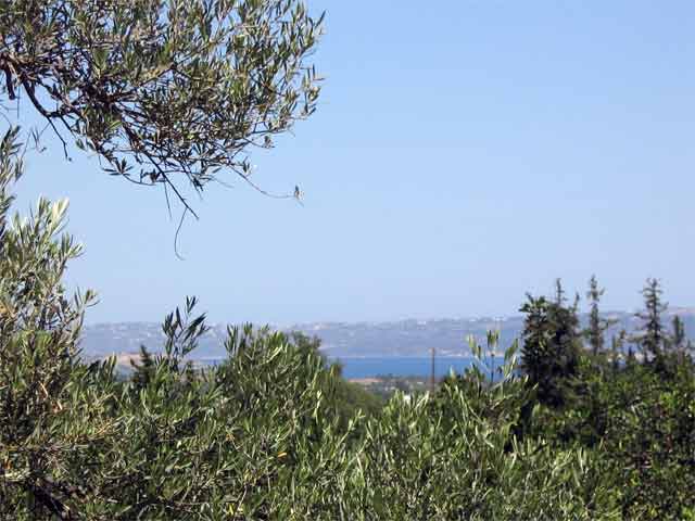 The “Gavaliana” project