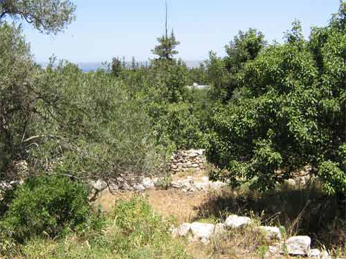 The “Gavaliana” project