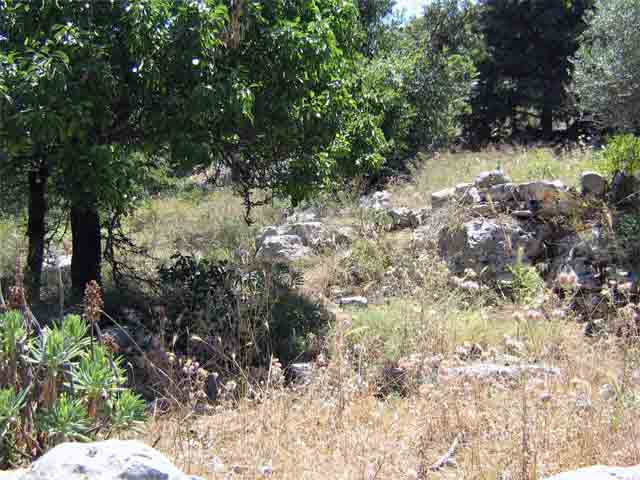 The “Gavaliana” project