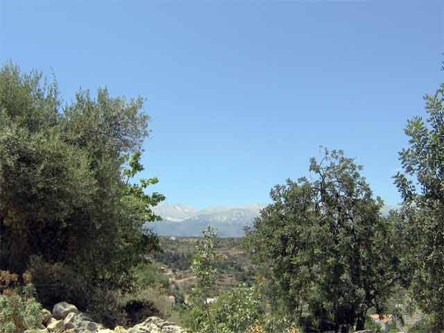 The “Gavaliana” project