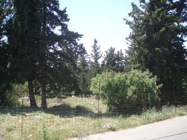 Baugrundstück in grüner Umgebung