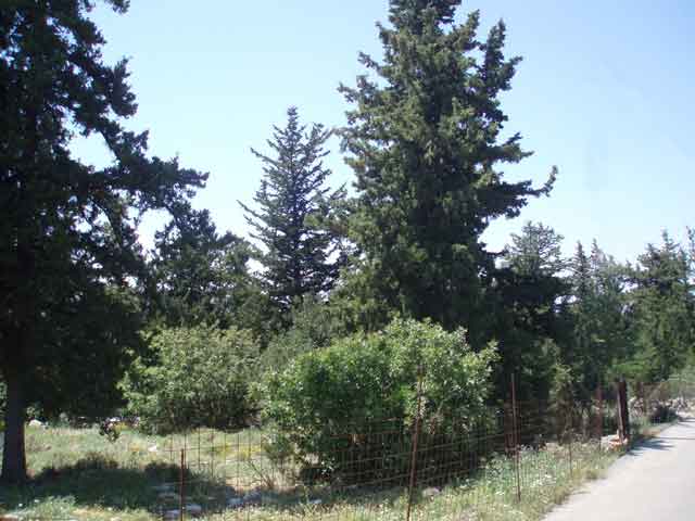 Baugrundstück in grüner Umgebung