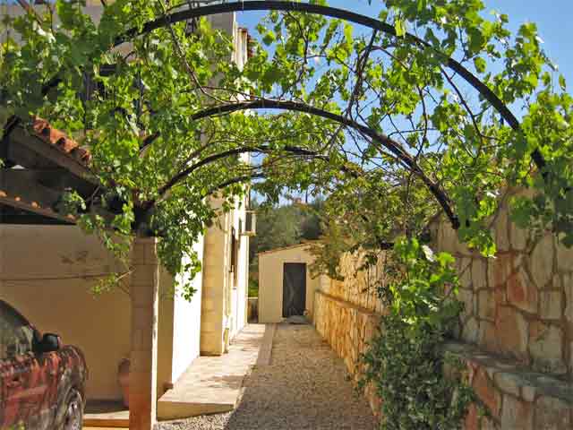 Villa “Ancient Tree” with sea views