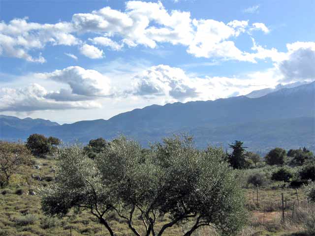 Stunning views to the White Mountains