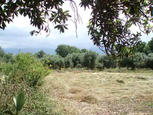 Baugrundstück am Rande des Dorfes Armeni