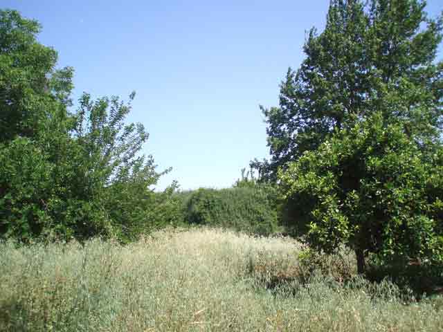 Baugrundstück am Rande des Dorfes Armeni