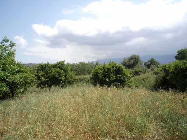Baugrundstück am Rande des Dorfes Armeni