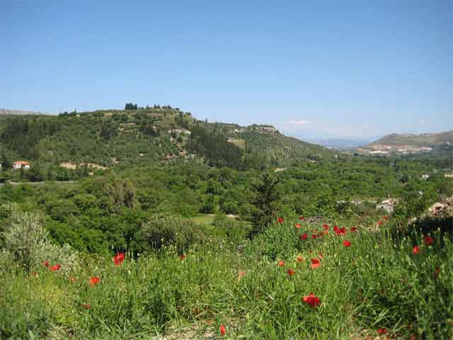 Οικόπεδο σε ειδυλλιακή περιοχή