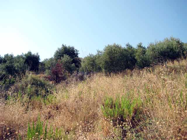 Attractive plot close to the sea