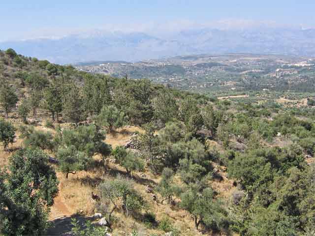 Beautiful plot with spectacular sea views