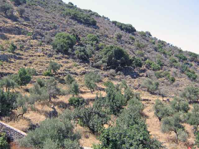 Beautiful plot with spectacular sea views