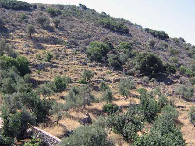 Beautiful plot with spectacular sea views