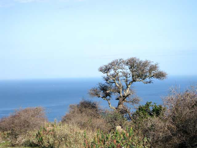 Plot with stunning sea views
