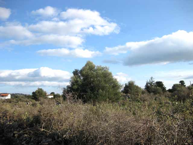 Large plot with views to the White Mountains