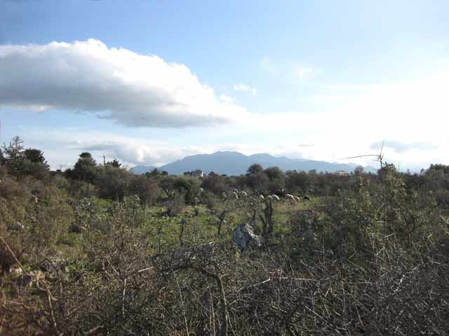 Large plot with views to the White Mountains