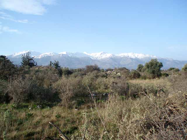 Large plot with views to the White Mountains