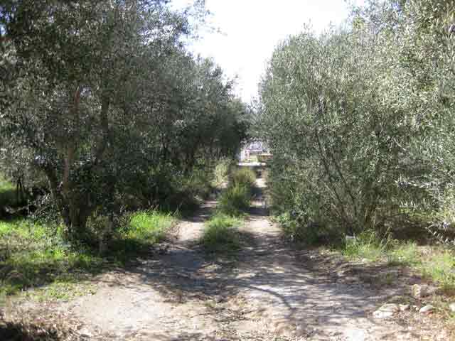 Plot in the tourist resort Almyrida