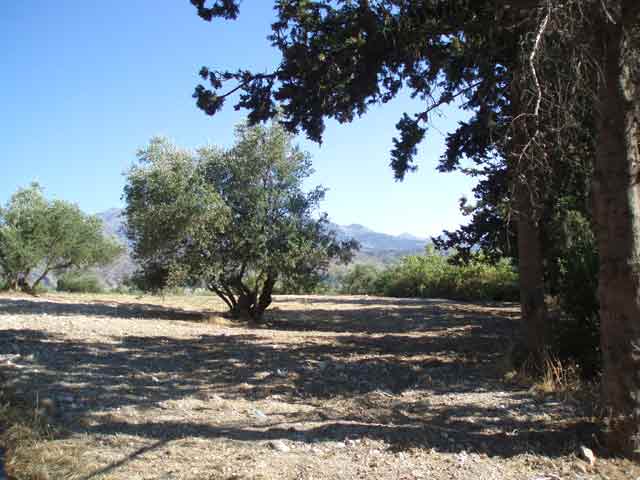 Land close to Vrysses/Sfakion