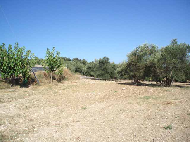 Land close to Vrysses/Sfakion