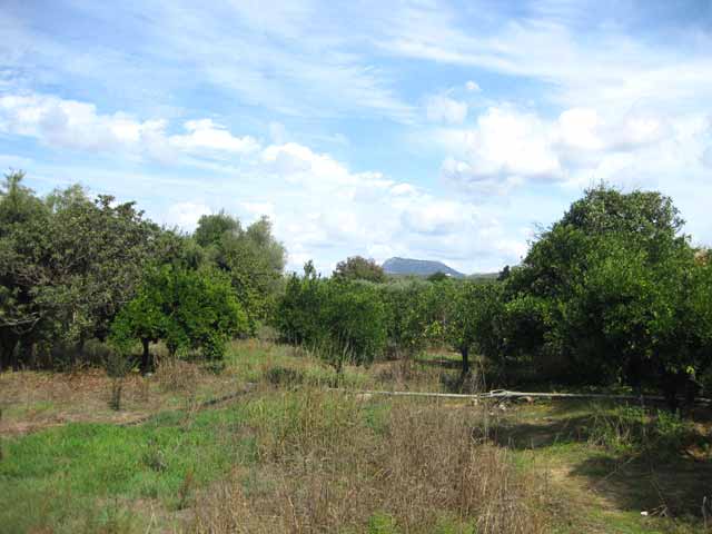 Land in Apokoronas full with fruit trees