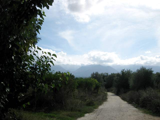 Land in Apokoronas full with fruit trees