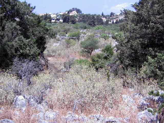 Beautiful plot with sea views