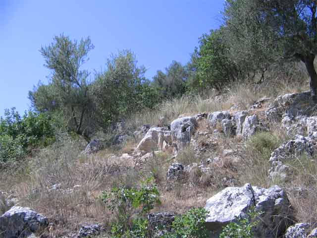 Ver la ficha completa del inmueble "AT-178 - Plot in green surroundings with sea views".