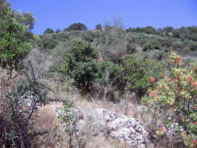 Plot in green surroundings with sea views