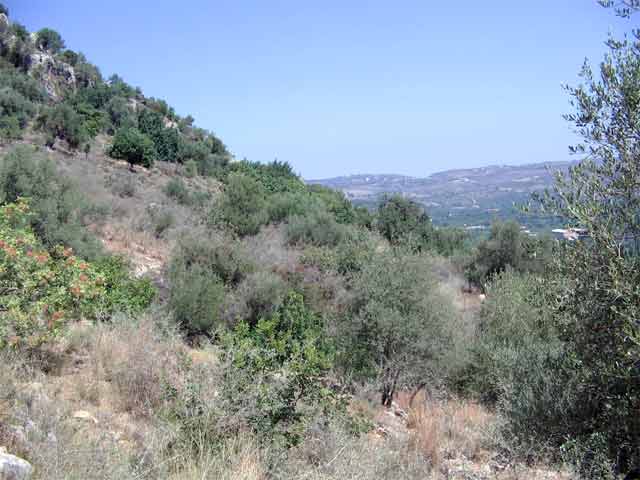 Plot in green surroundings with sea views