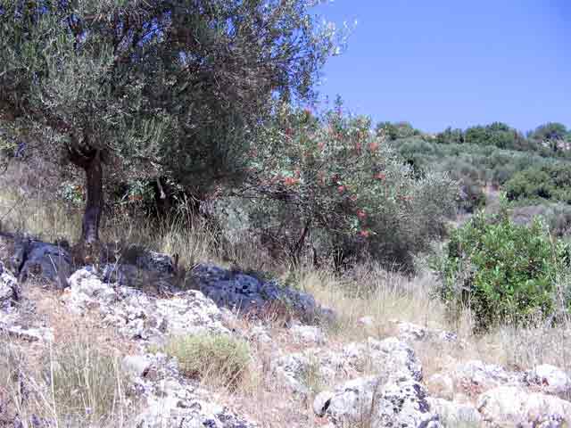Plot in green surroundings with sea views
