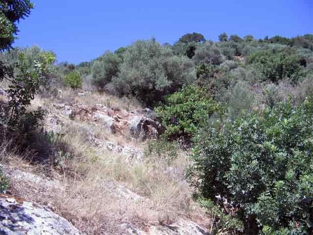 Plot in green surroundings with sea views
