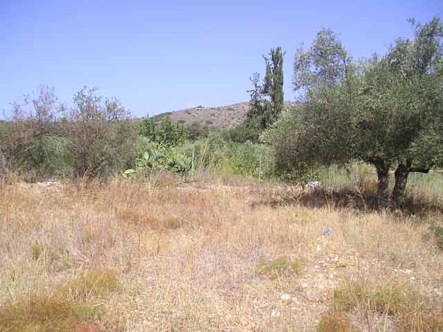 Baugrundstück in ruhiger Lage