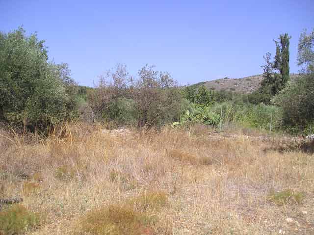 Baugrundstück in ruhiger Lage